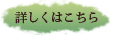 �ڂ����͂�����